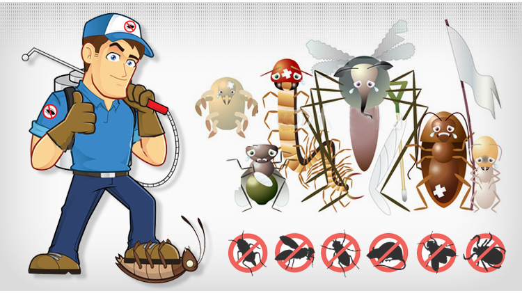 Astoria Exterminator, bedbugs, roaches, rodents, housefly, insects, termite, other insects, get rid